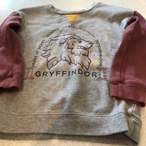 Harry Potter Gryffindor Kids 5T Sweatshirt